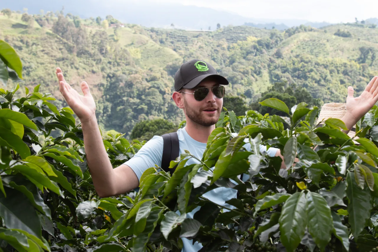 Viajero entre cafetales en el Eje Cafetero
